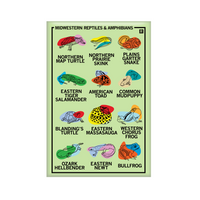 Vertical white magnet with a 3x4 grid of different frog, turtle, and snake illustrations with their names below their pictures. The top left says, "MIDWESTERN REPTILES & AMPHBIANS"