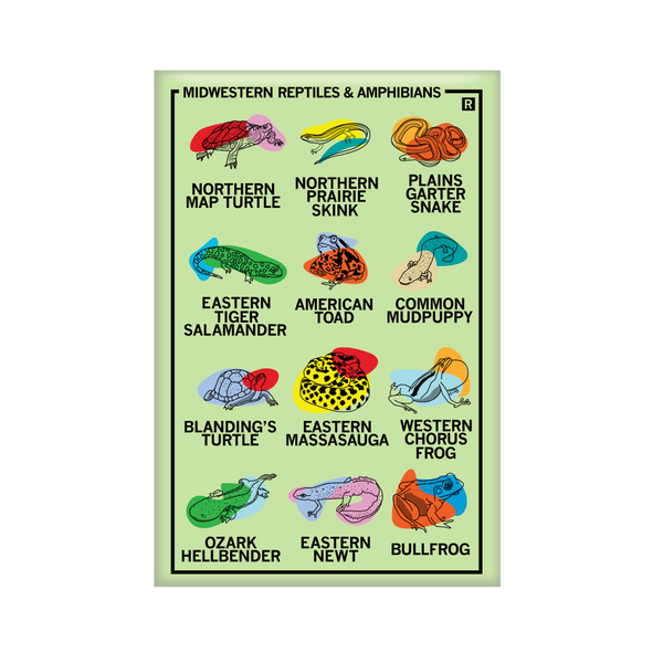 Vertical white magnet with a 3x4 grid of different frog, turtle, and snake illustrations with their names below their pictures. The top left says, 
