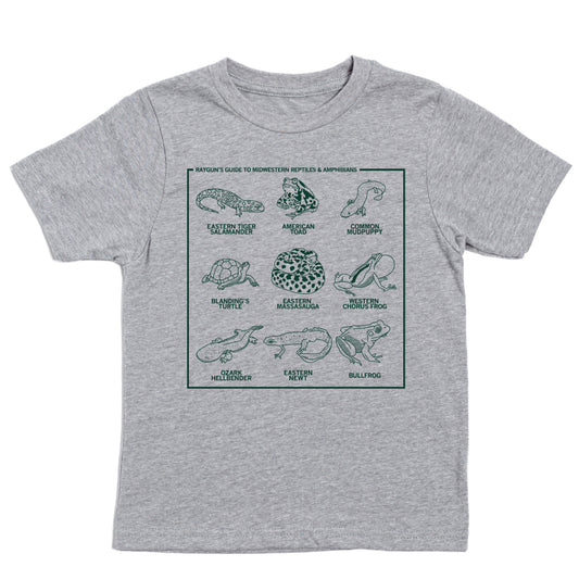 Gray RAYGUN t-shirt featuring a grid illustration of nine Midwestern reptiles and amphibians, each labeled with its name, under the heading Rayguns Guide to Midwestern Reptiles & Amphibians.