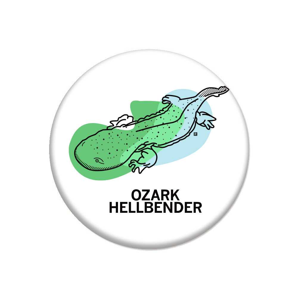 Ozark Hellbender Button