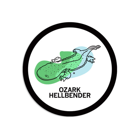Round RAYGUN vinyl sticker featuring a line-art illustration of an Ozark hellbender salamander over green and blue abstract shapes, with the text OZARK HELLBENDER below.