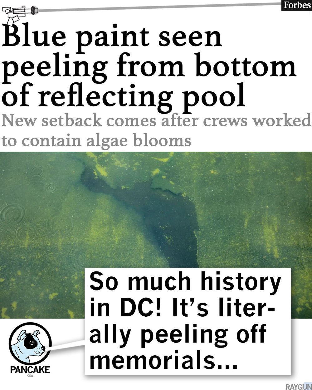 Let's Go Algae