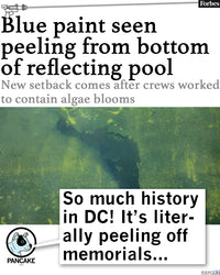Let's Go Algae