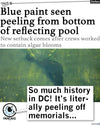 A Forbes headline reads: Blue paint seen peeling from bottom of reflecting pool. A person wearing a lime t-shirt stands nearby as a speech bubble says, So much history in DC! Its literally peeling off memorials, as if mocking Team Algae.
