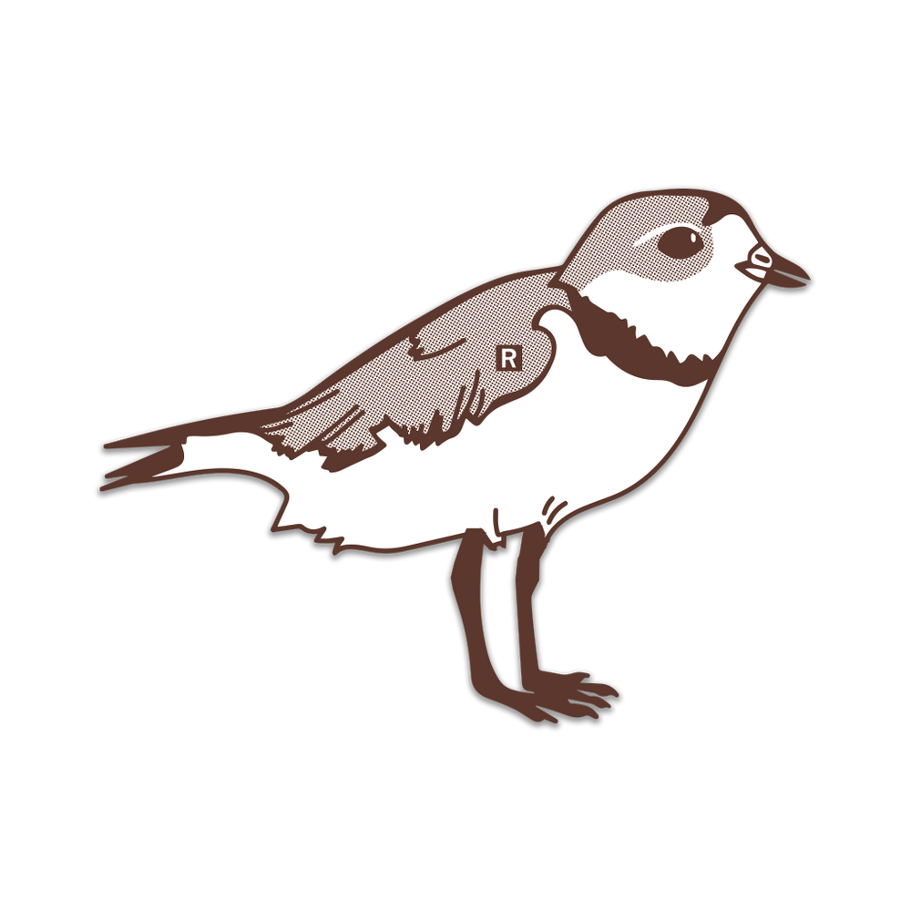 Brown and white die-cut sticker of a plover facing the right.