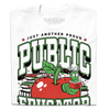 White t-shirt with text in black, green, and white that reads "Just another proud public educator. Teach, change lives, repeat" around a red apply with a bookworm popping out and a stack of red & green books in the back.