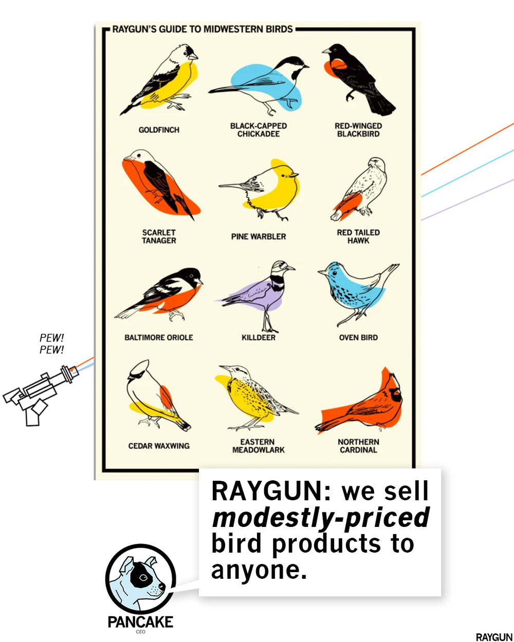 Promo image of our RAYGUN'S GUIDE TO MIDWESTERN BIRDS poster with Pancake The Dog commenting below "RAYGUN: We sell modestly-priced bird products to anyone."