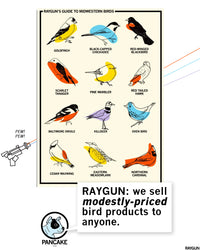 Promo image of our RAYGUN'S GUIDE TO MIDWESTERN BIRDS poster with Pancake The Dog commenting below "RAYGUN: We sell modestly-priced bird products to anyone."