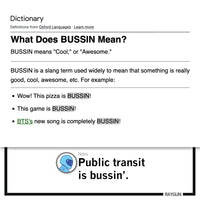 Public Transit is Bussin