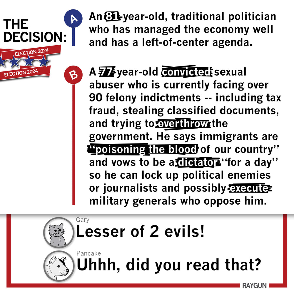 Election 2024 Decision TShirt RAYGUN