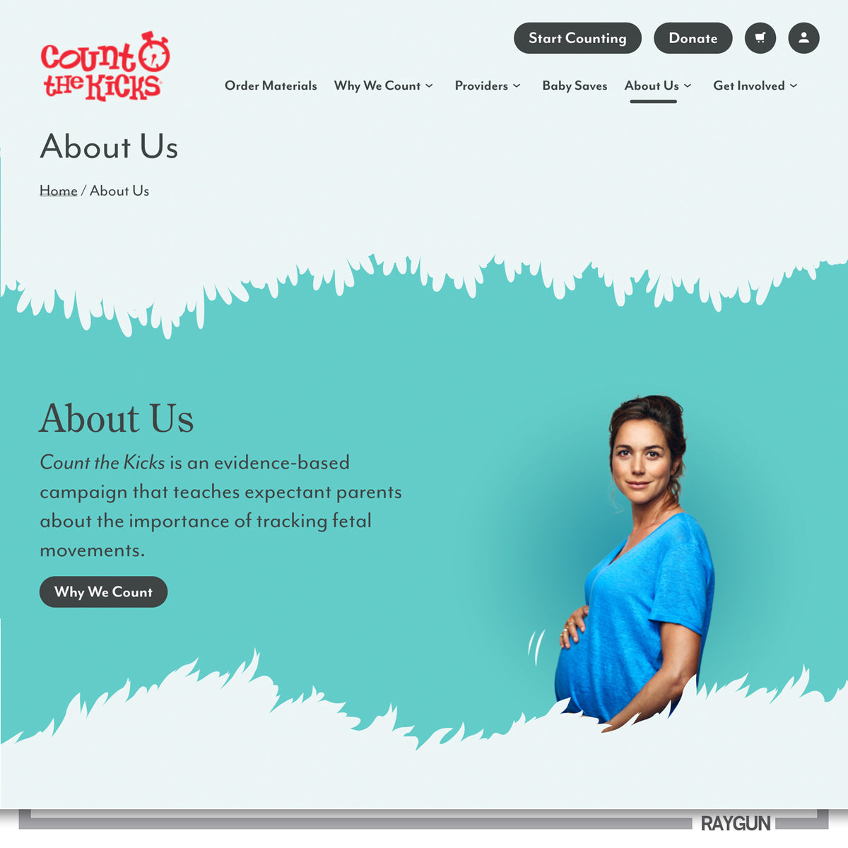 Website header for Count the Kicks featuring a pregnant woman in a heather grey t-shirt and text explaining the campaign’s focus on tracking fetal movements.