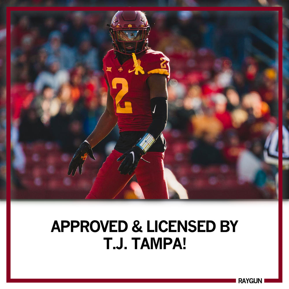 Air Tampa