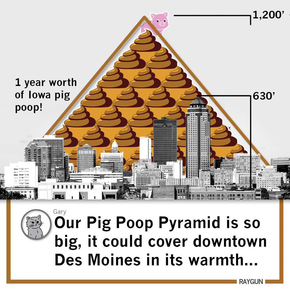 Iowa Must Love Pig Poop