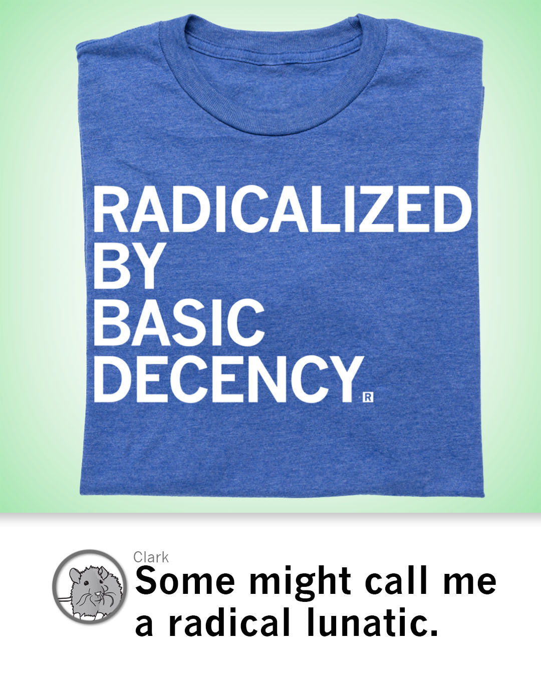 Heather Royal blue t-shirt with white text that reads RADICALIZED BY BASIC DECENCY.