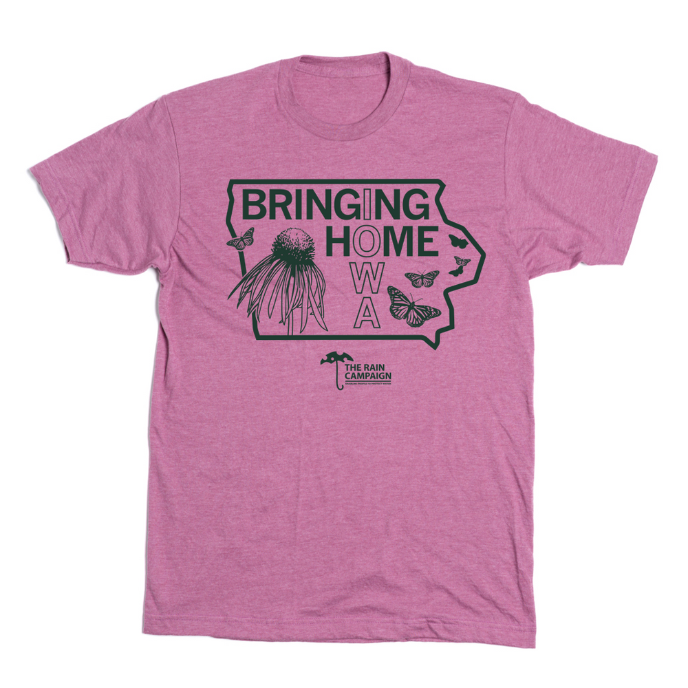 The Rain Campaign: Bringing Iowa Home