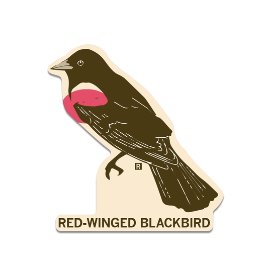 Vinyl sticker of a dark brown Red-Winged Blackbird with a red wing patch, labeled RED-WINGED BLACKBIRD.