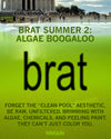 A graphic featuring a lime t-shirt wearer’s grimy pool aesthetic, with the text BRAT SUMMER 2: ALGAE BOOGALOO, set against a green-tinted swimming pool in front of the Lincoln Memorial.