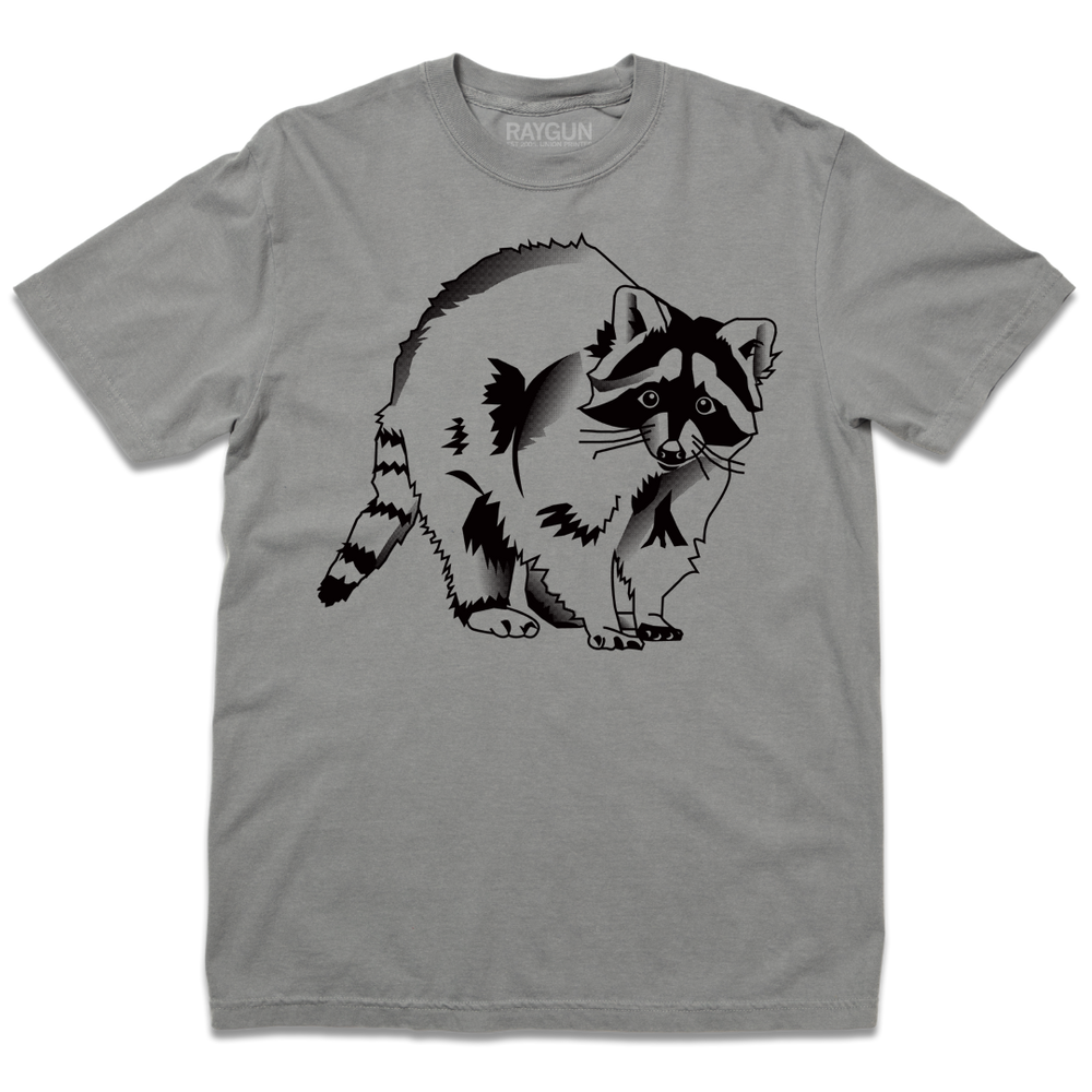 Raccoon Heavyweight