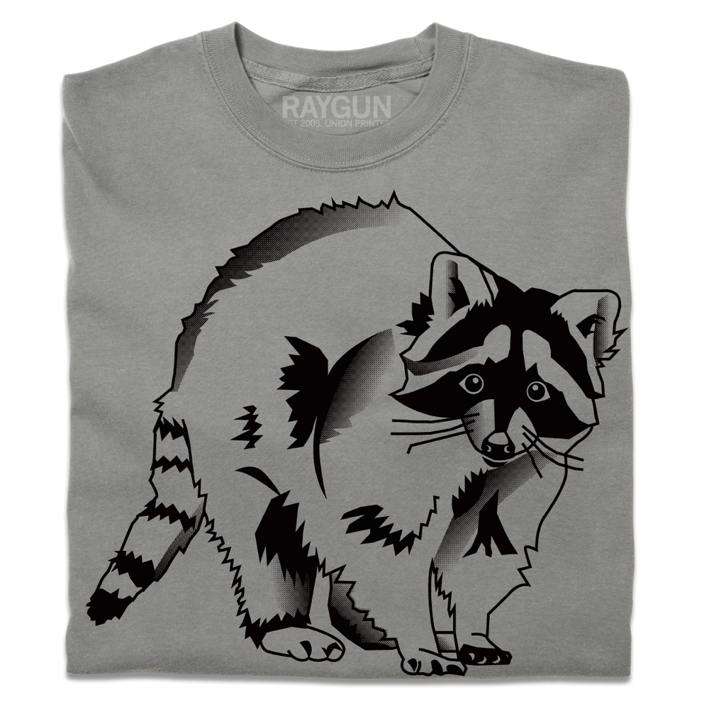 Raccoon Heavyweight