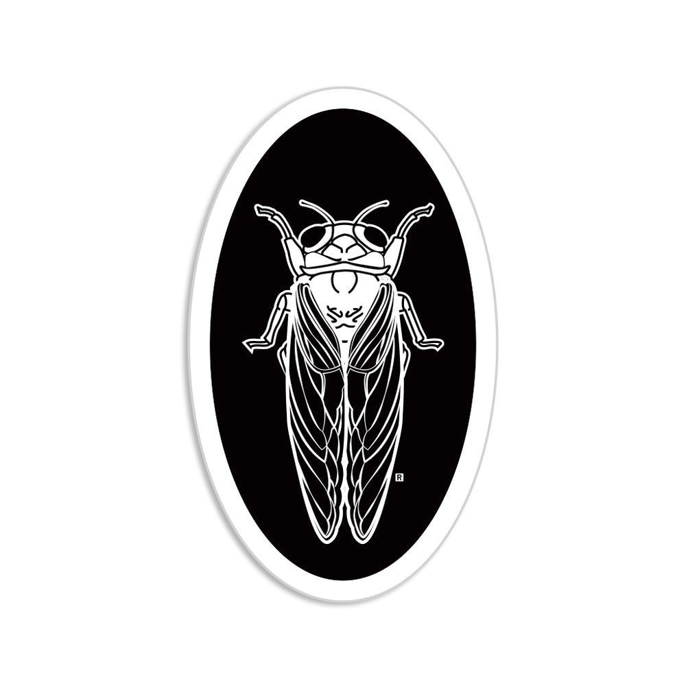 Cicada Oval Sticker