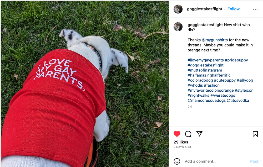 I Love My Gay Parents Dog Shirt RAYGUN