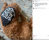 A curly brown doodle dog wearing a black RAYGUN dog bandana that says Dogs are the new kids, lying on a patterned rug.