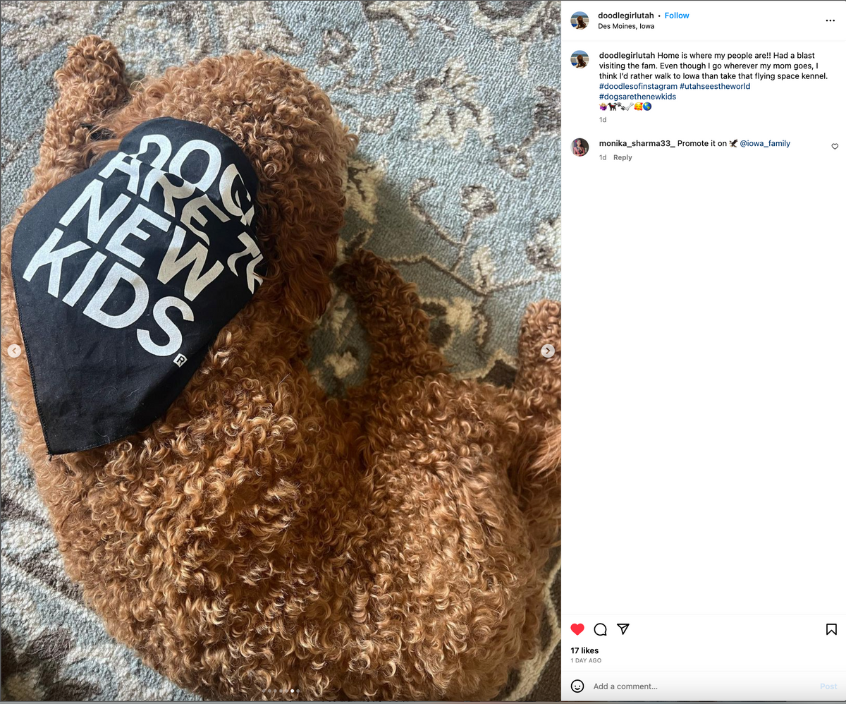 A curly brown doodle dog wearing a black RAYGUN dog bandana that says Dogs are the new kids, lying on a patterned rug.