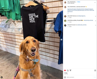 Dogs Are The New Kids Dog Shirt