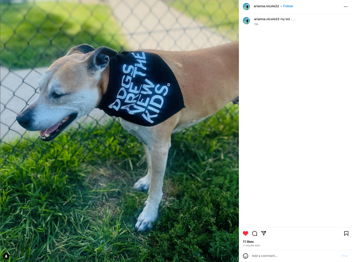 A tan dog wearing a black RAYGUN dog bandana with the white text DOGS ARE THE NEW KIDS stands near a chain-link fence.