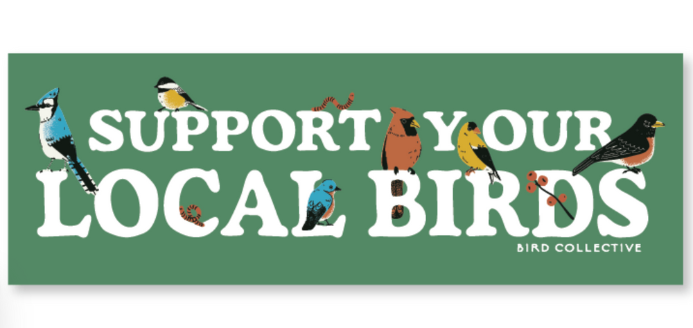 Bird Collective: Support Your Local Birds Bumper Sticker