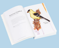 Chronicle: The Field Guide to Dumb Birds of North America