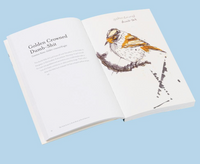 Chronicle: The Field Guide to Dumb Birds of North America