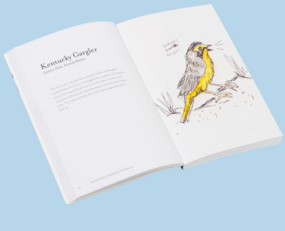 Chronicle: The Field Guide to Dumb Birds of North America