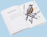Chronicle: The Field Guide to Dumb Birds of North America