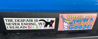 Tender Ghost: I Remain Silly Bumper Sticker