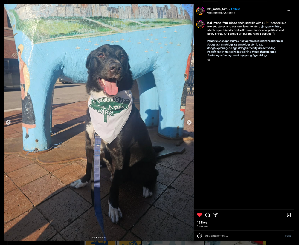 If You Love Clark Dog Bandana