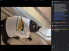 A gray cat wears a white t-shirt featuring a stylized sun graphic and the text We All Are Going To Die, a fitting sentiment for those struggling with SNAP and Medicaid access.