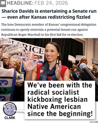 Sharice: Radical Kickboxing Lesbian Native American