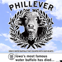 Phillever Pink