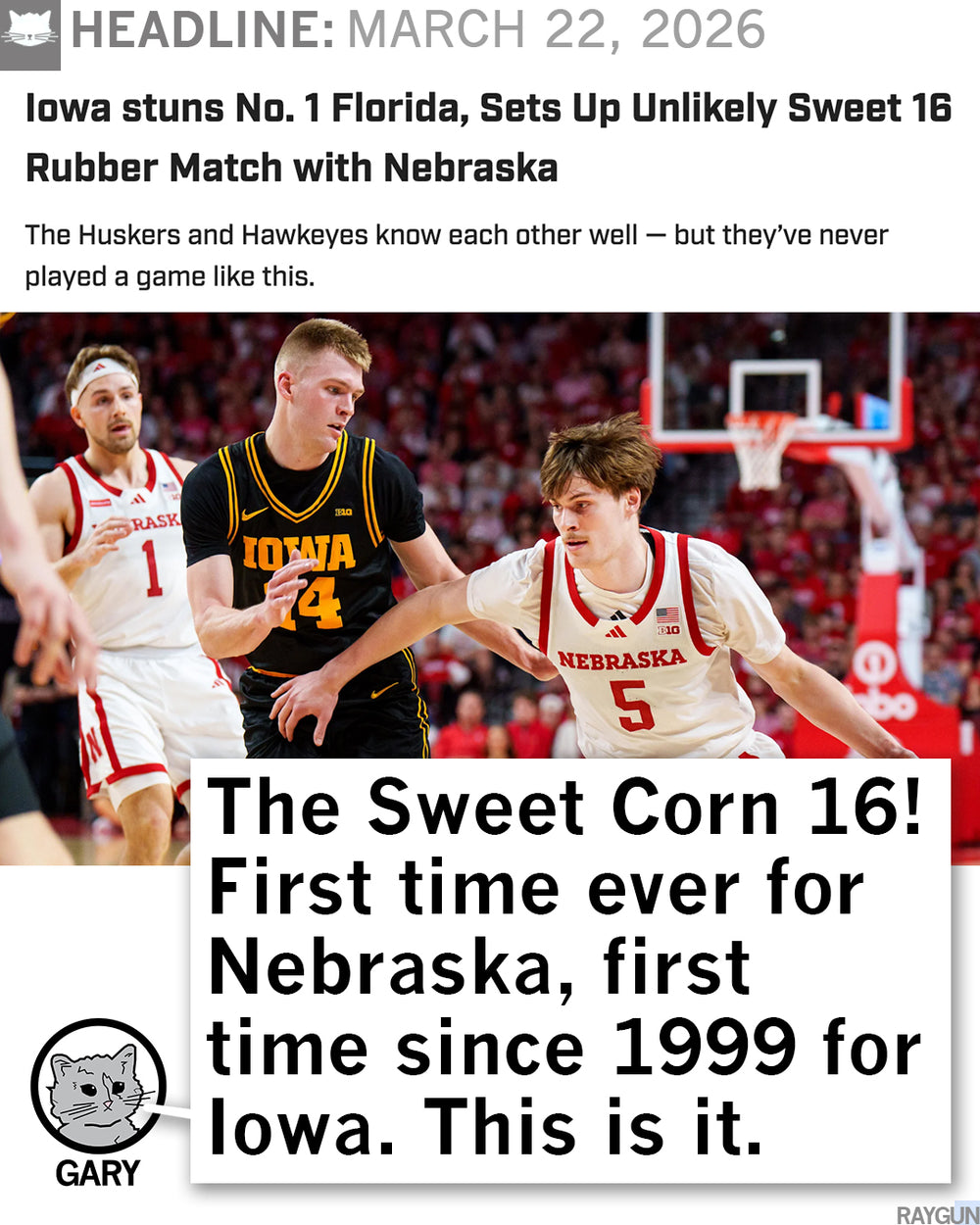 Sweet Corn 16 Max Collegiate Gold