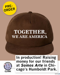 Together We Are America Brown Hat