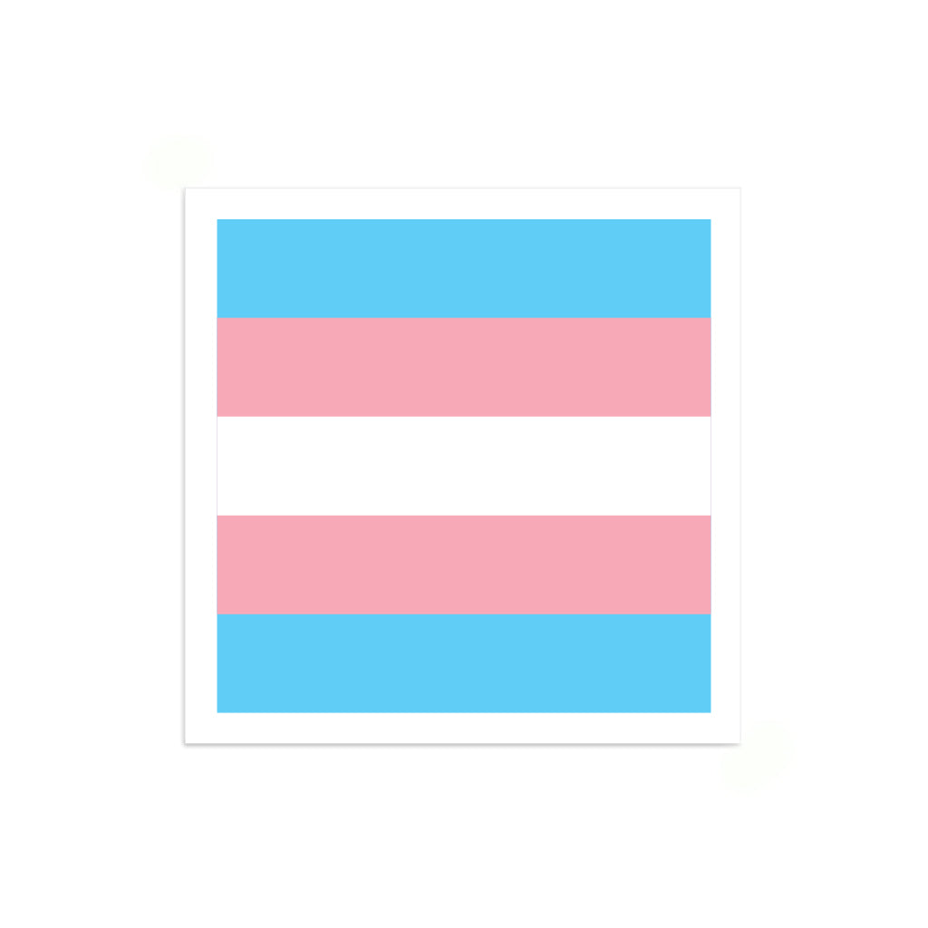 A Trans Pride Flag vinyl sticker with horizontal stripes of light blue, pink, and white.