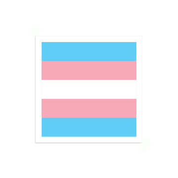 A Trans Pride Flag vinyl sticker with horizontal stripes of light blue, pink, and white.