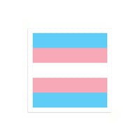 Trans Pride Flag Mini Square Sticker