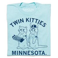 Twin Kitties