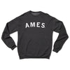 Charcoal gray RAYGUN crewneck sweatshirt with the word AMES printed in white across the chest.