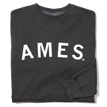 Folded dark gray RAYGUN crewneck sweatshirt with the word AMES printed in white on the chest.