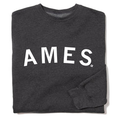 ★AMES-WORLDWIDE★LOGO TYPO GRAPHIC SWEATSHIRT GREY★正規品 Relaxed Graphic Crewneck Sweatshirt - Grey | Levi's® US