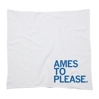 Ames To Please Kitchen Towel