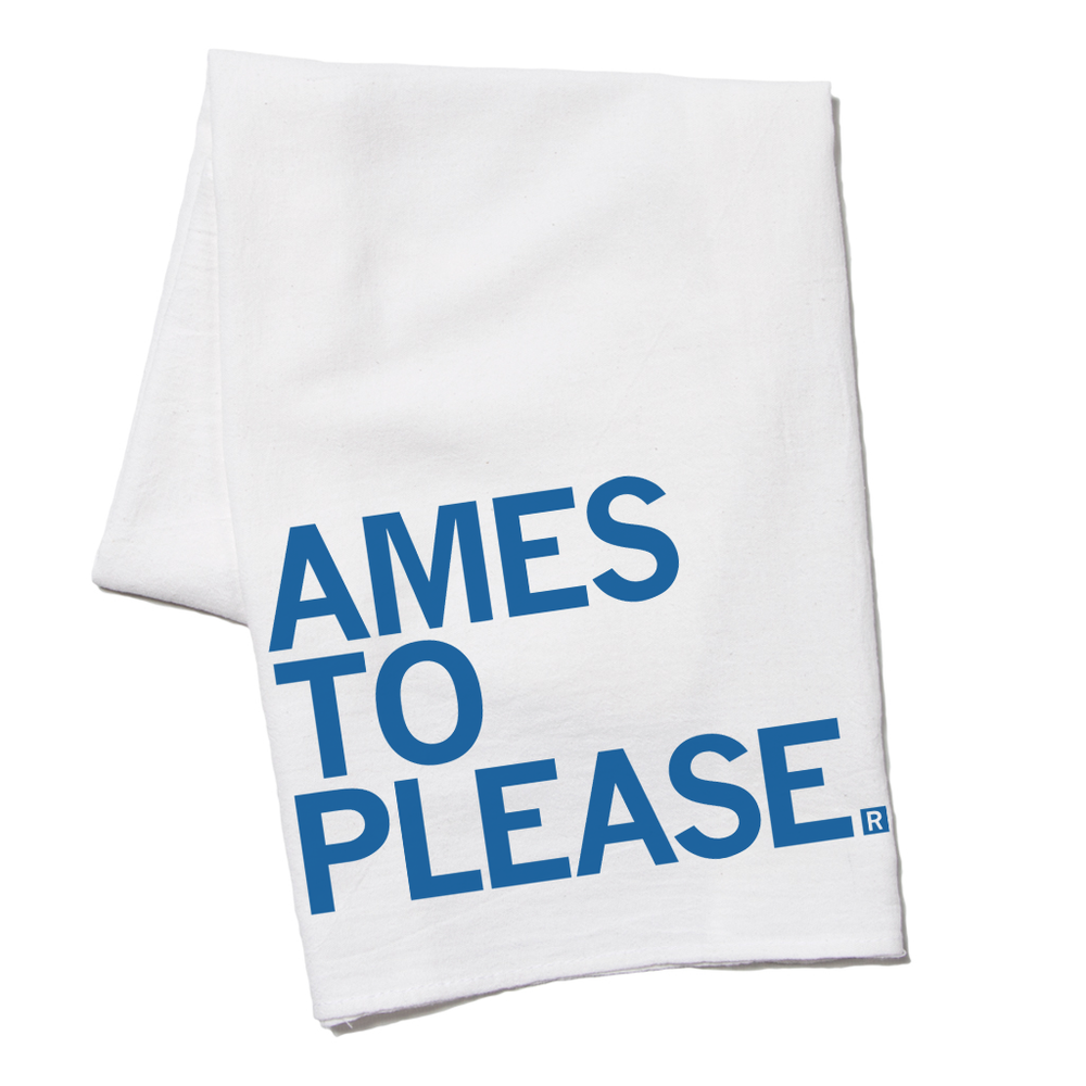 Ames To Please Kitchen Towel